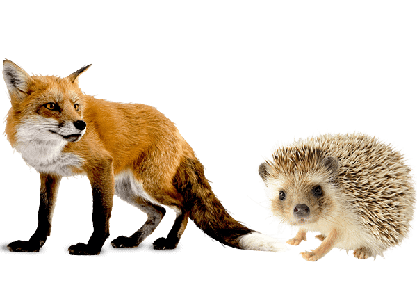 Fox Hunting: Why We Need More Than Hedgehog Leaders | BIZCATALYST 360°